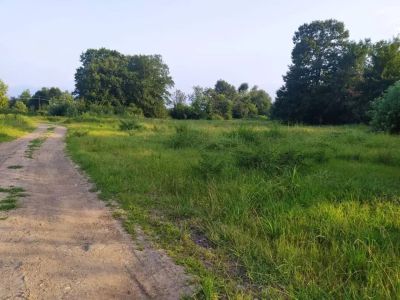 زمین 10000 متری در سنگر رشت