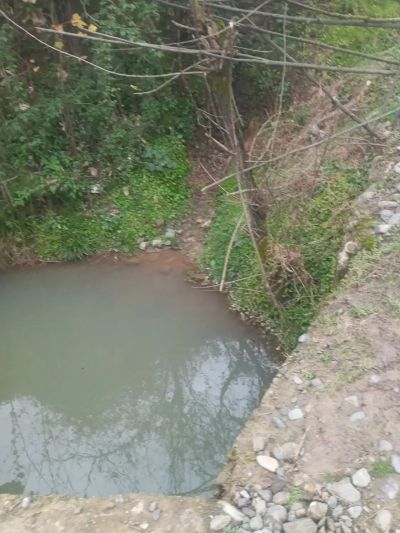 زمین 600 متری در رشت