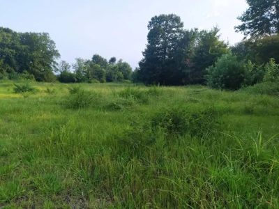 زمین 10000 متری در سنگر رشت