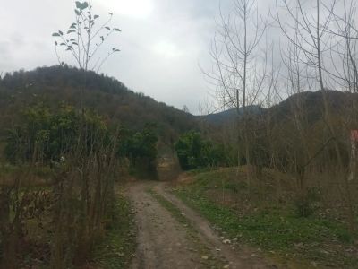 زمین 600 متری در رشت