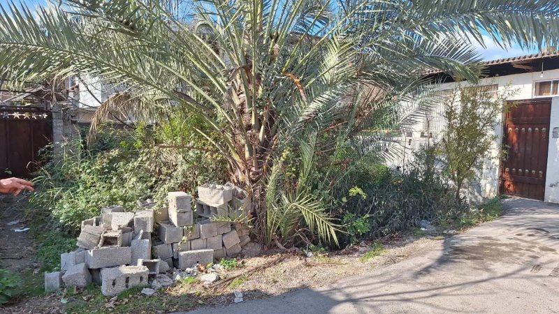 زمین 100 متری در بلوار امام رضا ساری14441336969