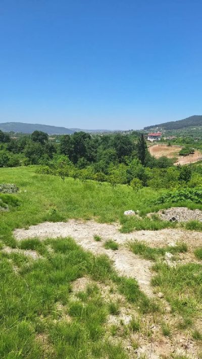 زمین 200 متری در میدان امام خمینی ساری