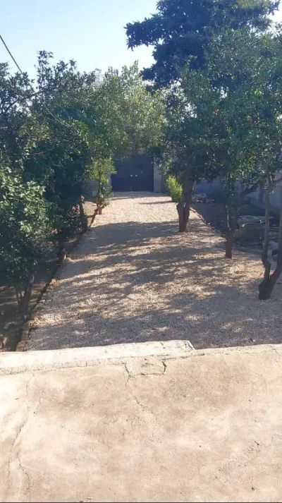 ویلا 670 متری یک خوابه در کوی اصحاب ساری