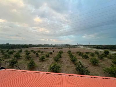 باغ 135000 متری یک خوابه در جاده دریا ساری