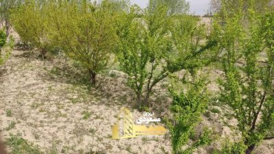 باغ 615 متری در بکه شهریار