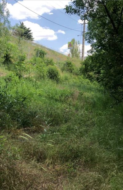 باغ 900 متری در جزینان طالقان