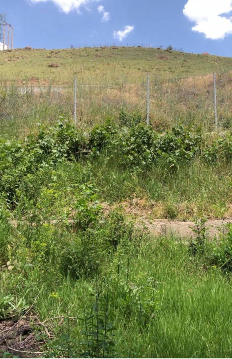 باغ 900 متری در جزینان طالقان14523637829