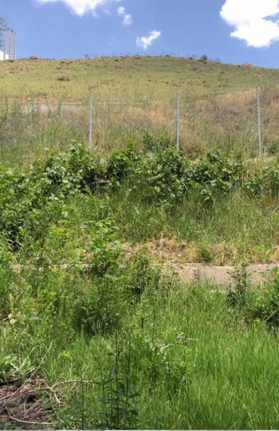 باغ 900 متری در جزینان طالقان