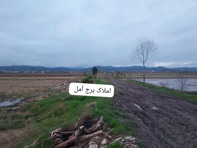 زمین 1250 متری در سرخکلا آمل14528337889