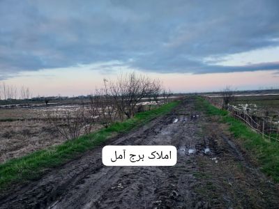 زمین 1250 متری در سرخکلا آمل