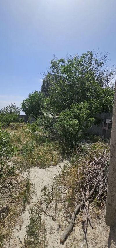 زمین 440 متری در کردان کرج