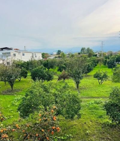 باغ 750 متری در چمستان