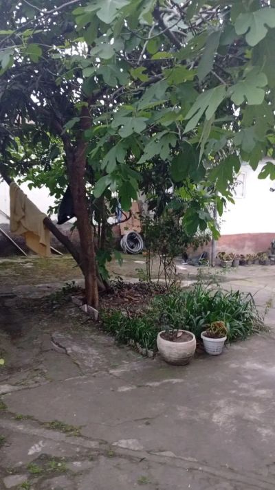 خانه 205 متری دو خوابه در میدان یخسازی رشت