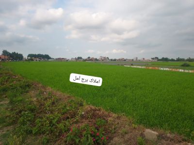 زمین 1500 متری در کته پشت آمل