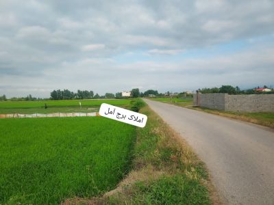 زمین 1500 متری در کته پشت آمل
