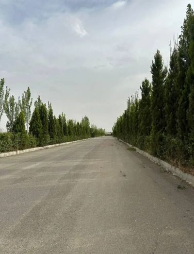 زمین 500 متری در سهیلیه کرج