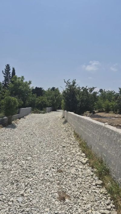 زمین 250 متری در درزیکلا نوشهر