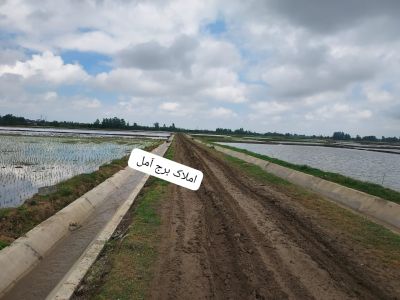 زمین 4000 متری در زیارودشت آمل