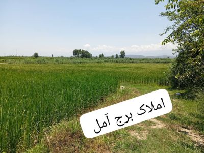 زمین 8000 متری در آمل