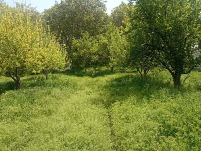 زمین 1700 متری در سعید آباد تبریز