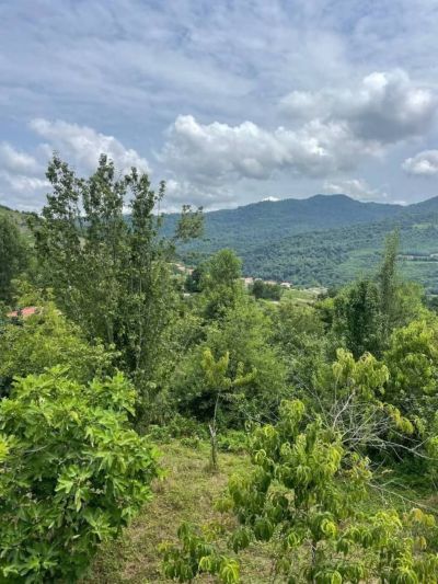زمین 500 متری در سواد کوه