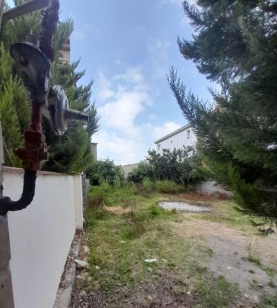 زمین 320 متری در چمستان