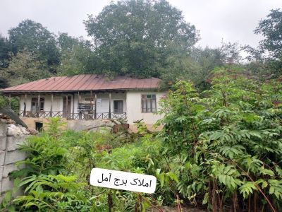 کلنگی 1000 متری در چلاو آمل