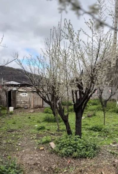 ویلا 600 متری در زیرآب سواد کوه