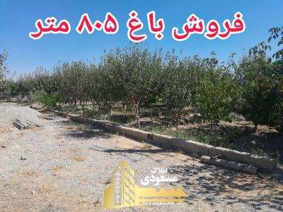 باغ 805 متری در شهریار
