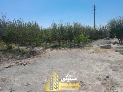 باغ 805 متری در شهریار
