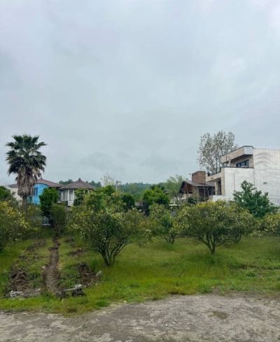 زمین 240 متری در همصفا چمستان