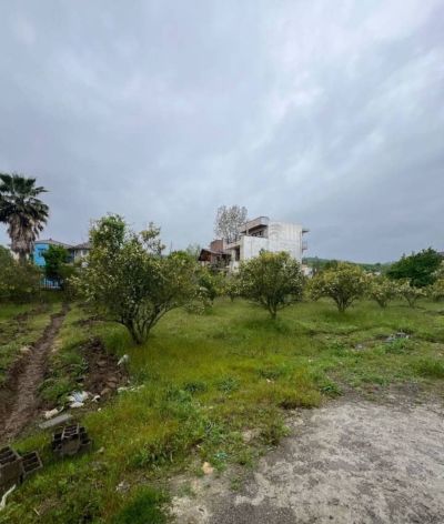 زمین 240 متری در همصفا چمستان