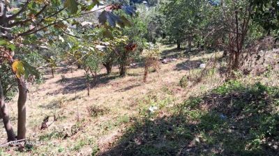 ویلا 927 متری در دالخانی رامسر