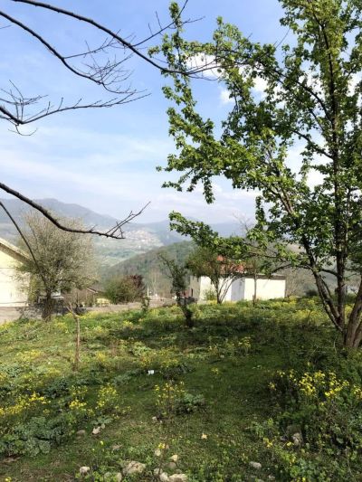 زمین 235 متری در سواد کوه