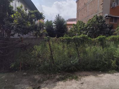 زمین 236 متری در شاندرمن ماسال