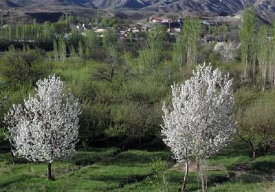 زمین 307 متری در لواسان بزرگ لواسان