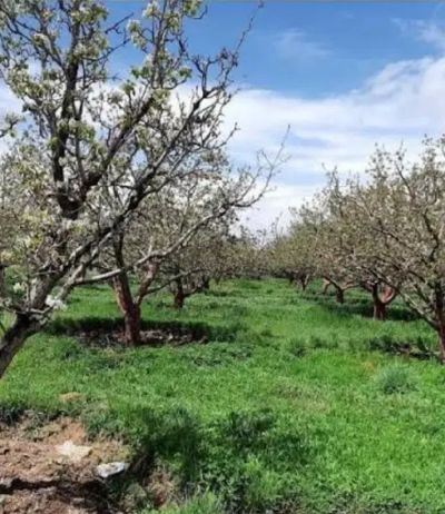 زمین 500 متری در سربندان دماوند