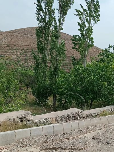زمین 307 متری در لواسان بزرگ لواسان