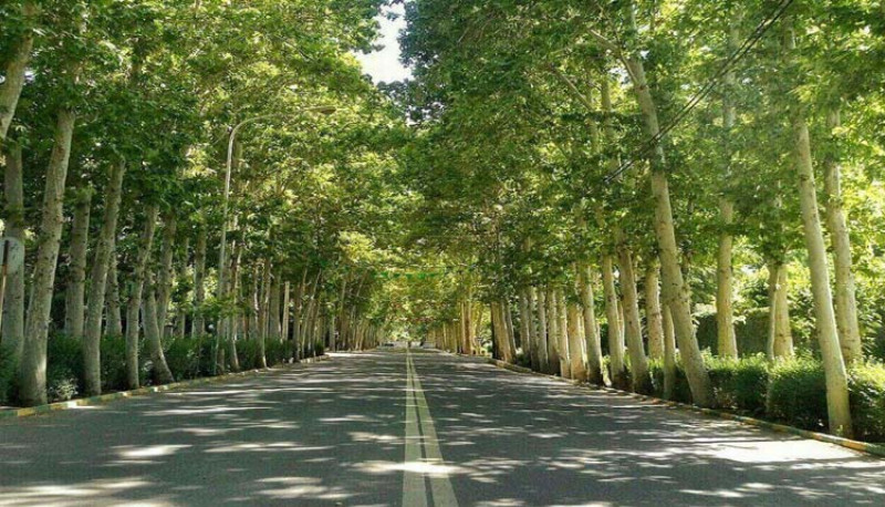 چهارباغ کجاست ؟ برای سرمایه‌گذاری مناسب است؟