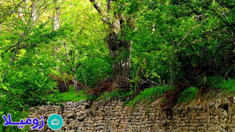 خرید ملک در کردزار شهریار