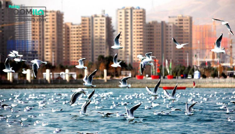 دریاچه چیتگر تهران ؛ آیا این محله برای خرید خانه مناسب است؟